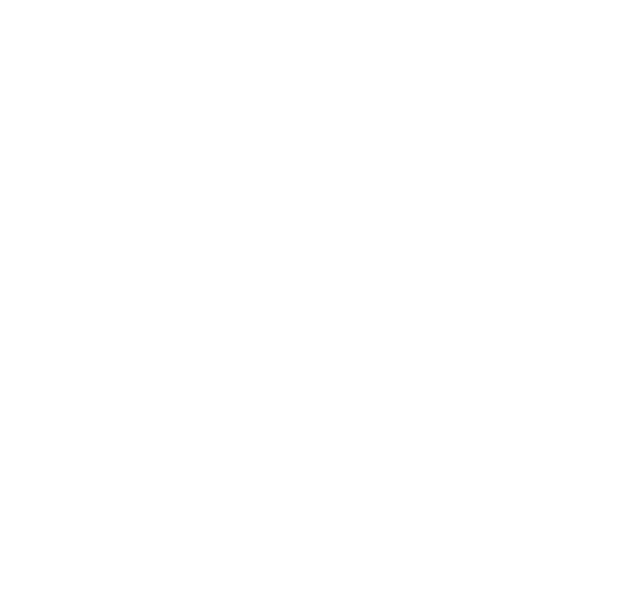 Security 1st
